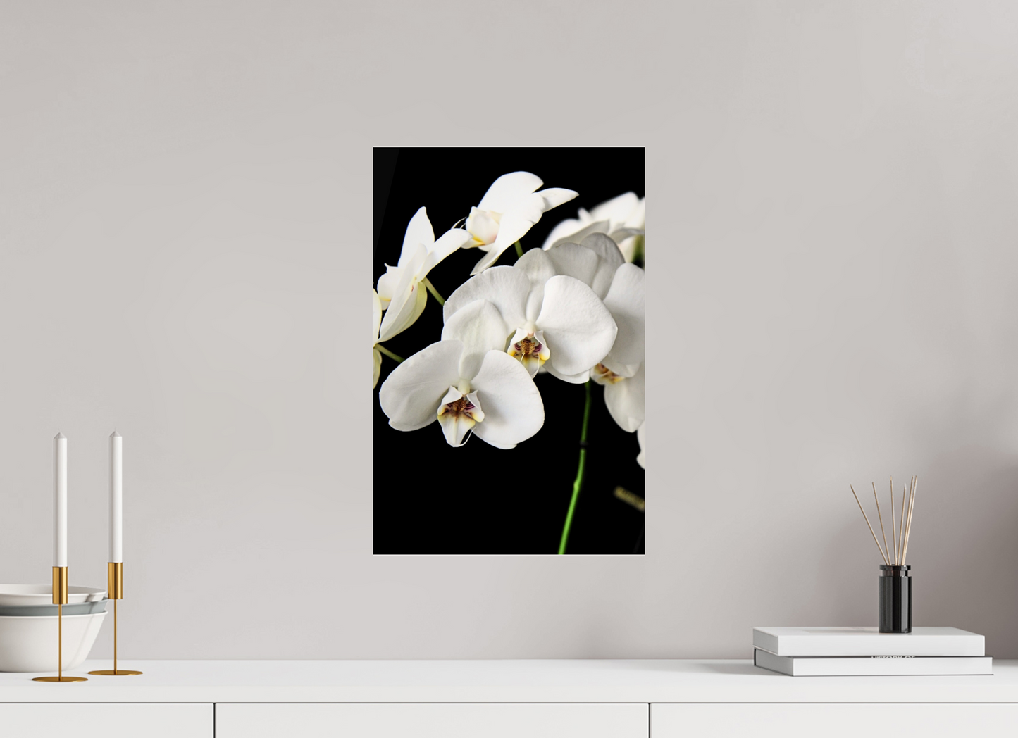 30 x 45 cm, Photo Print Under Acrylic Glass WHITE WHISPER